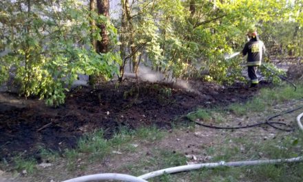Płonęła ściółka leśna w gminie Sońsk