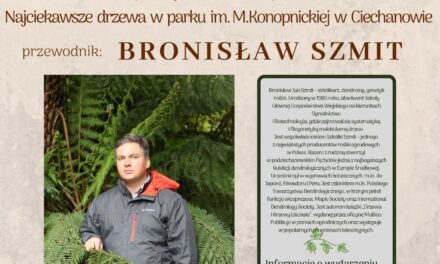 Bronisław Szmit o „Najciekawszych drzewach  parku im. Marii Konopnickiej w Ciechanowie”