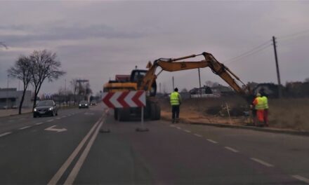 Wycięto drzewa pod budowę chodnika przy drodze krajowej
