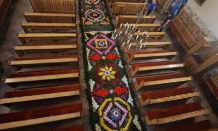 Kwietne dywany – najładniejsze w parafiach powiatu ciechanowskiego