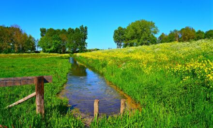 Spółki wodne z terenu powiatu ciechanowskiego otrzymają wsparcie