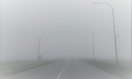 Gęste mgły nad powiatem ciechanowskim. IMGW ostrzega