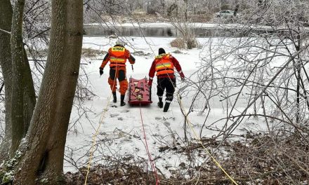 Strażacy uratowali psa i łabędzia. Zwierzęta utknęły w lodowych pułapkach [zdjęcia]