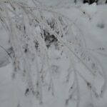 Wracają siarczyste mrozy. Nawet 25 stopni na minusie