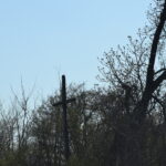 Nocna Droga Krzyżowa: Glinojeck  – Drogiszka