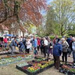 Zostań wystawcą i zaprezentuj swoje produkty podczas „Kwiatów Ogrodów” w Gołotczyźnie już 10 maja