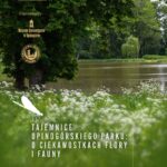 Seniorzy odkryją tajemnice opinogórskiej przyrody