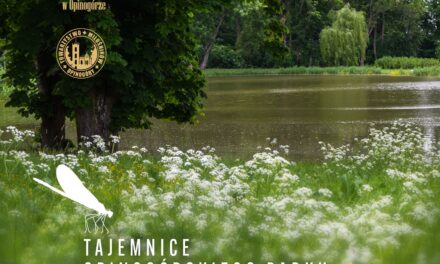 Seniorzy odkryją tajemnice opinogórskiej przyrody