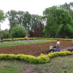 Kwietny kontur Polski znów ozdobił park