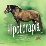 Hipoterapia w Opinogórze. Wyjątkowe spotkanie Akademii Seniora